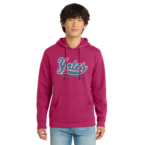 Adult District Yotes Hoodie