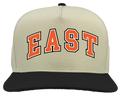 EAST Jr High Zapped Patriot Hat